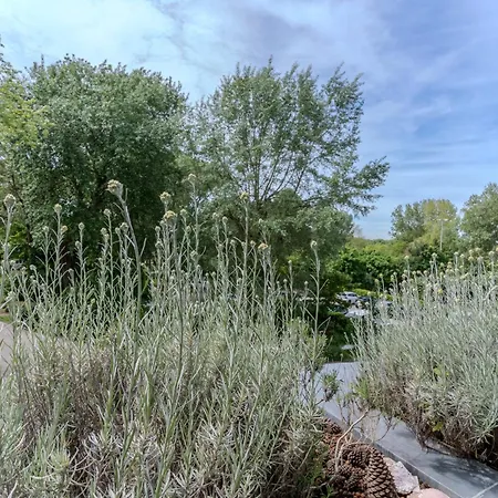 Apartman Tres Bel Pour 5 Pers Au Coeur Du Parc Equestre Du Touquet *